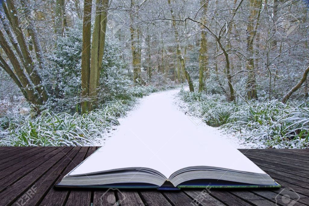 books-into-snowpath